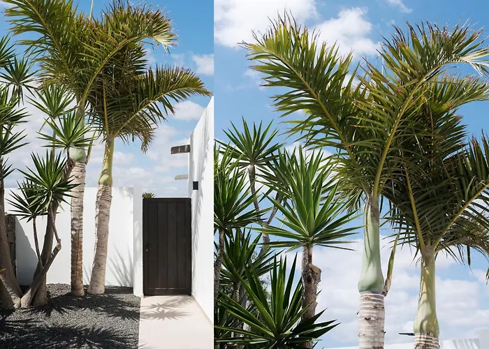 Luxurious Acebo 4 Bed, 4 Bath, Private Pool Villa Playa Blanca (Lanzarote)