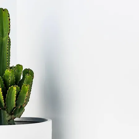 Luxurious Acebo 4 Bed, 4 Bath, Private Pool ヴィラ