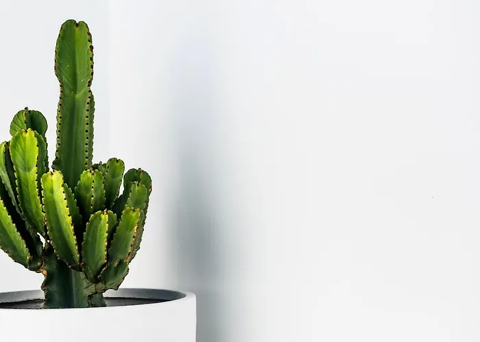 Luxurious Acebo 4 Bed, 4 Bath, Private Pool ヴィラ